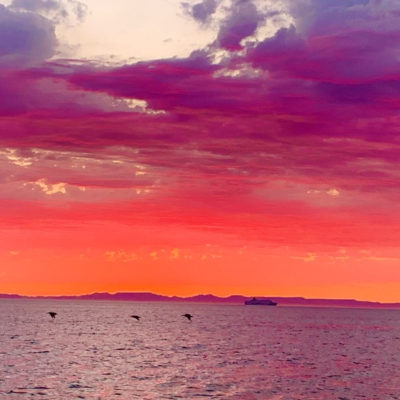 Meet your Posher, Kate - Picture 5 of 13